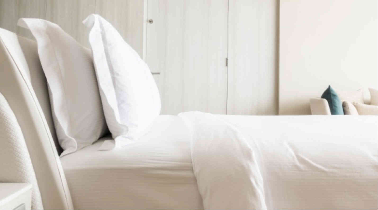 Set de almohadas Dormi Plus